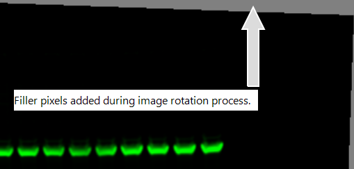Filler pixels from image rotation are shown on a blot image.