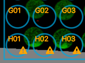 Filler pixels on an image shown in Empiria Studio