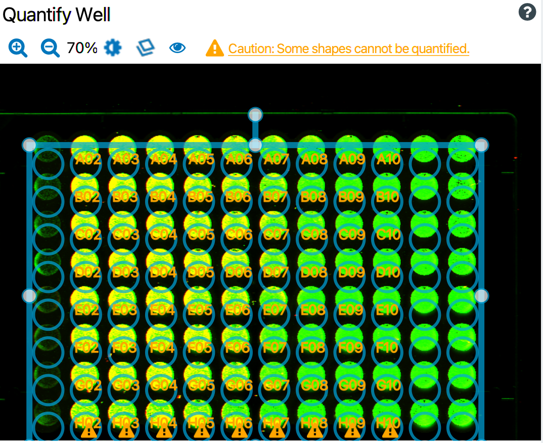 The well circles on this plate grid are outside the area of the image and must be moved back to be quantified.