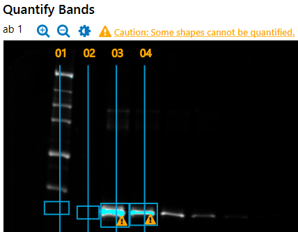 Saturated pixels on a blot image.