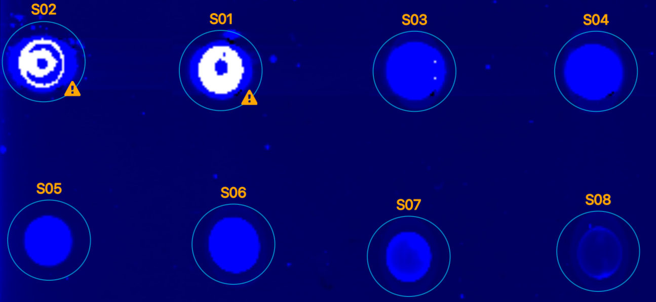 Saturated pixels on a dot blot image.