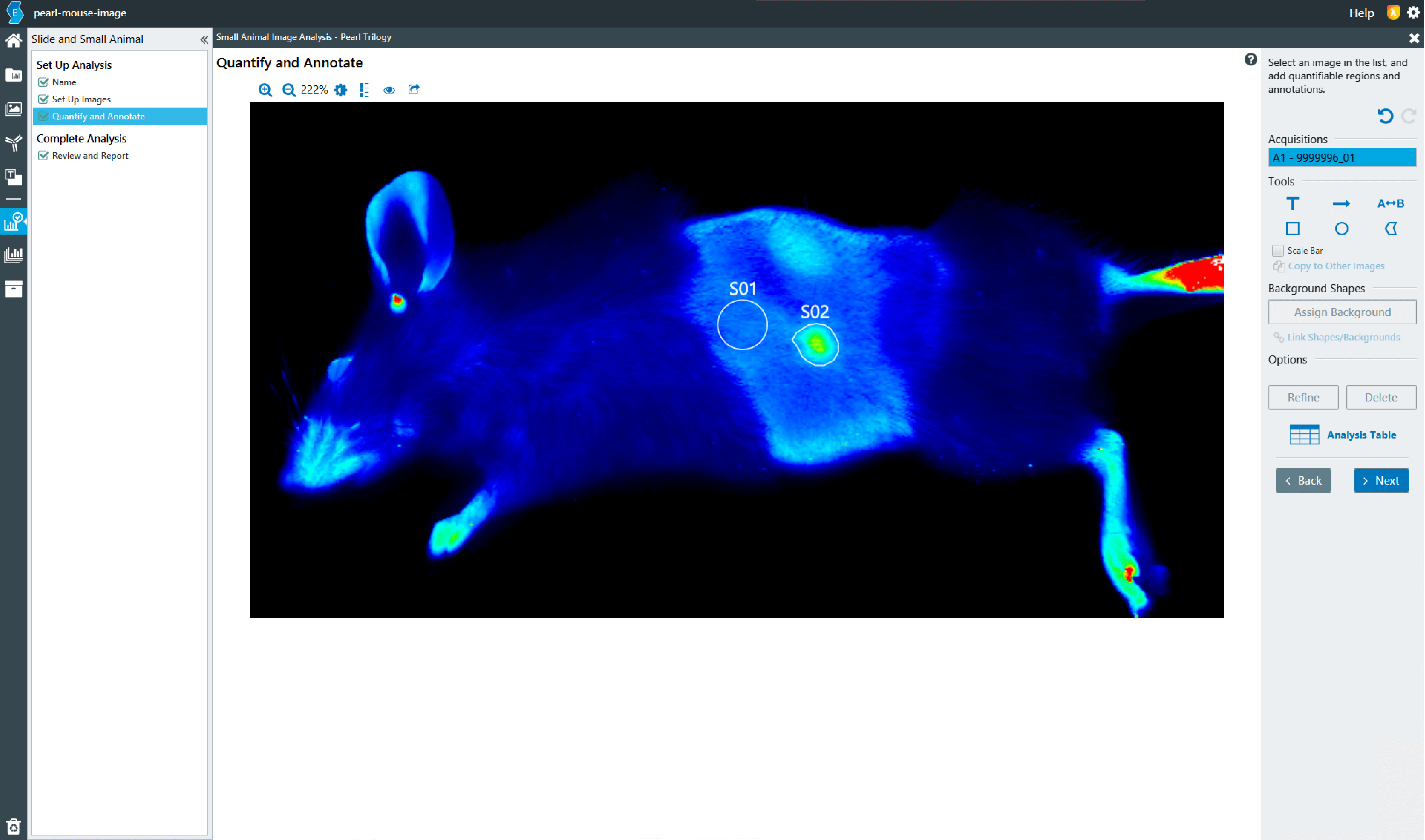 Mouse image open in the Slide and Small Animal Analysis workflow in Empiria Studio.