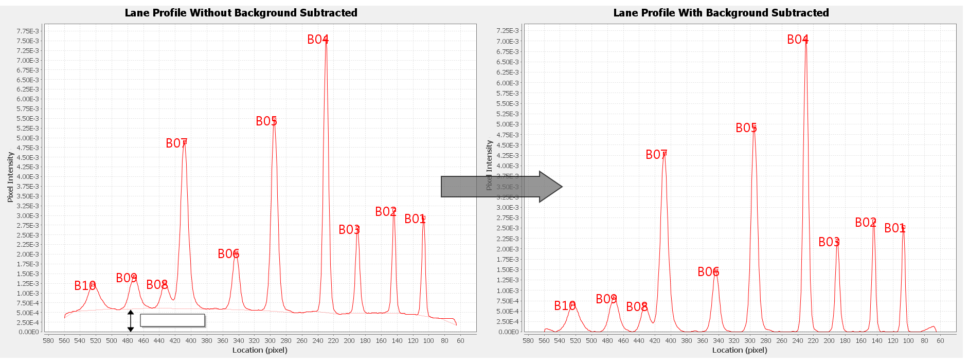 Image Studio lane profile before after background subtraction