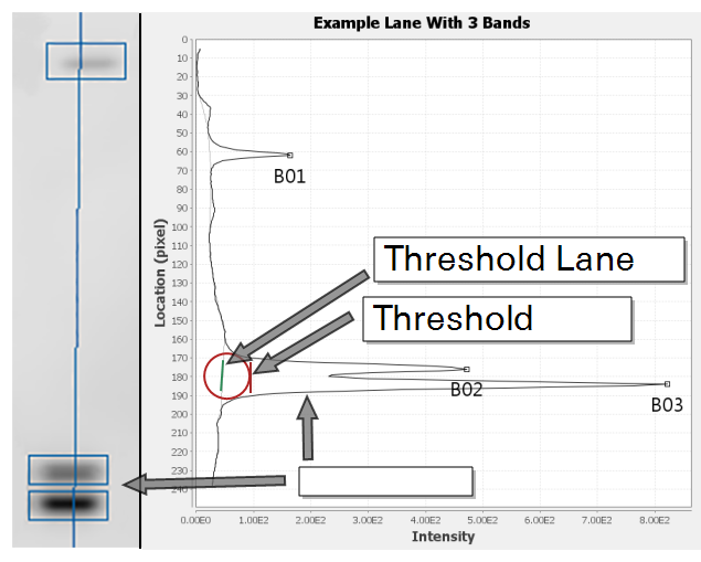 Image Studio lane vs rolling ball background threshold