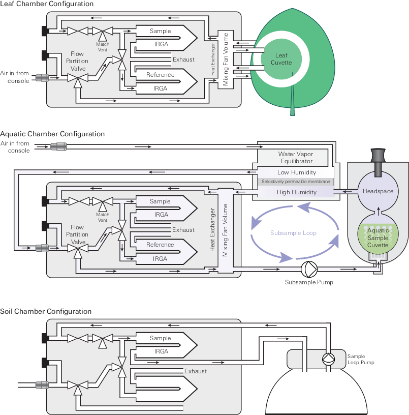 The LI-6800 head has sample and refernce IRGAs and flow configurtions that depend on the setup.