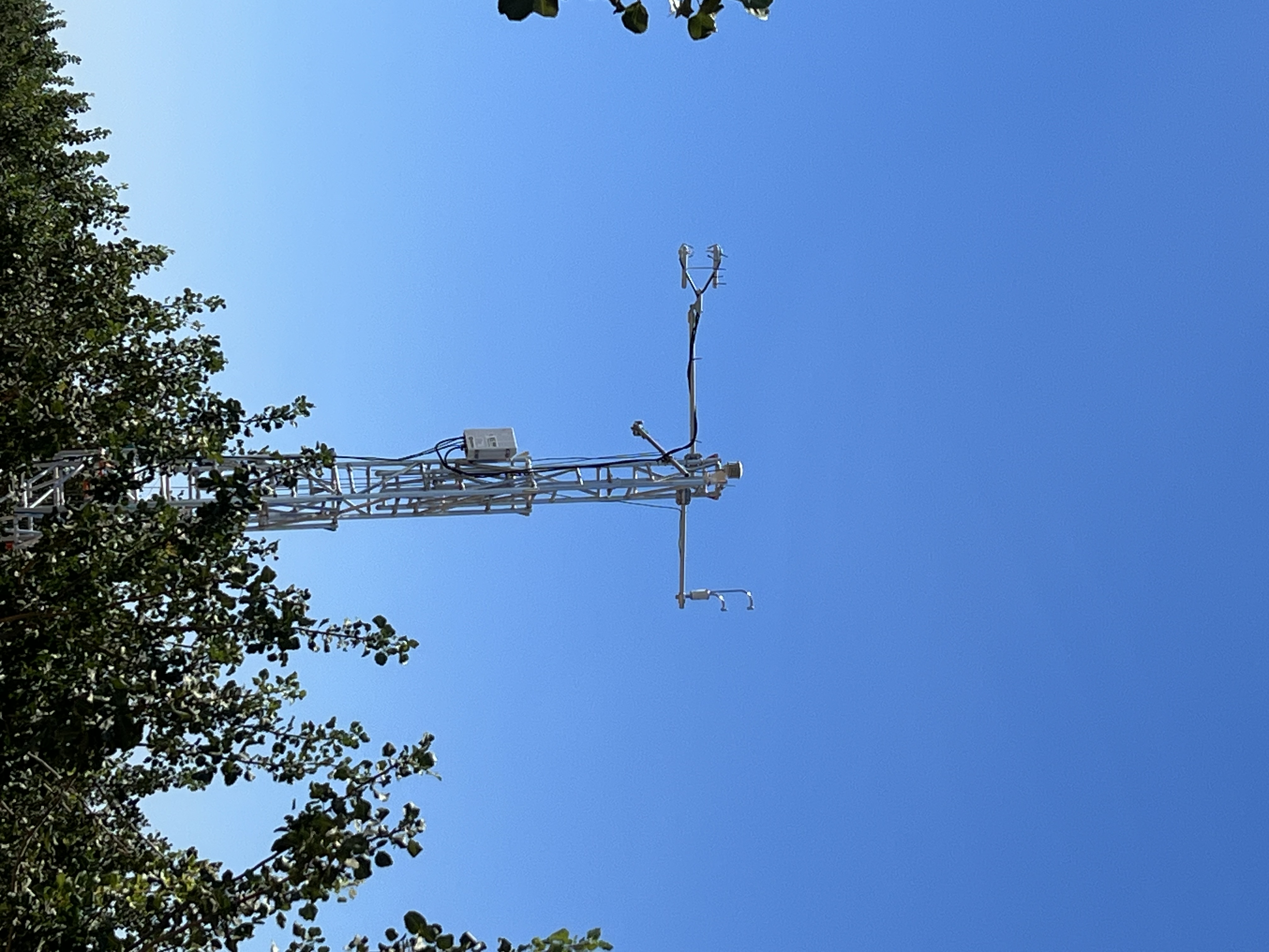 LI-COR LI-710 Evapotranspiration Sensor in a pistachio orchard